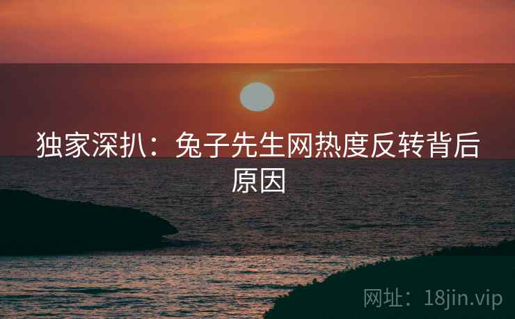 独家深扒：兔子先生网热度反转背后原因
