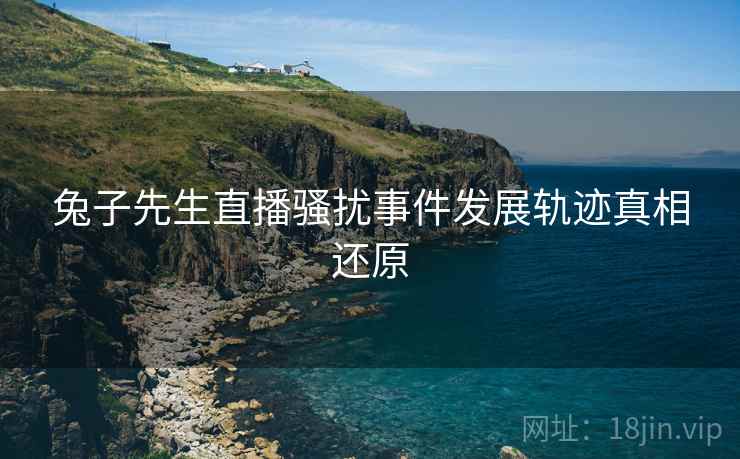 兔子先生直播骚扰事件发展轨迹真相还原