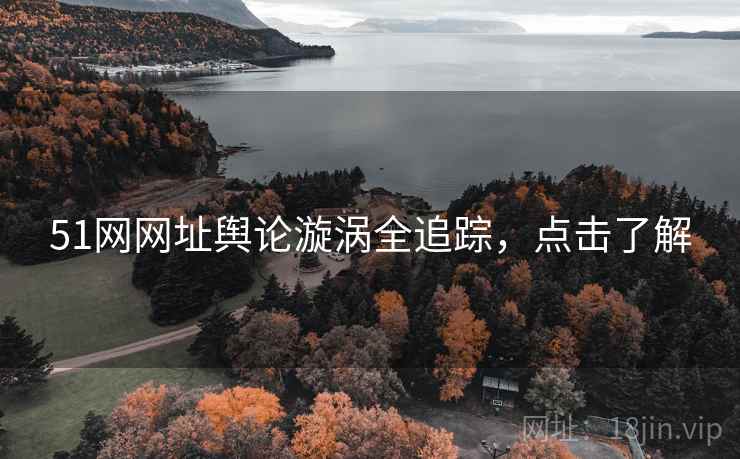 51网网址舆论漩涡全追踪，点击了解