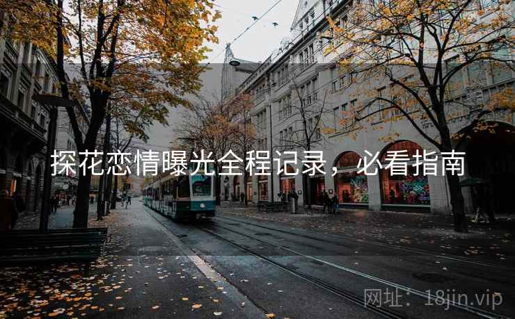 探花恋情曝光全程记录，必看指南