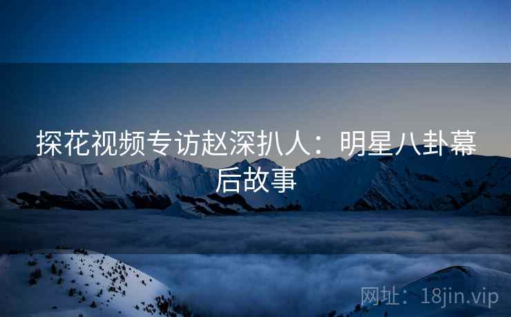 探花视频专访赵深扒人：明星八卦幕后故事