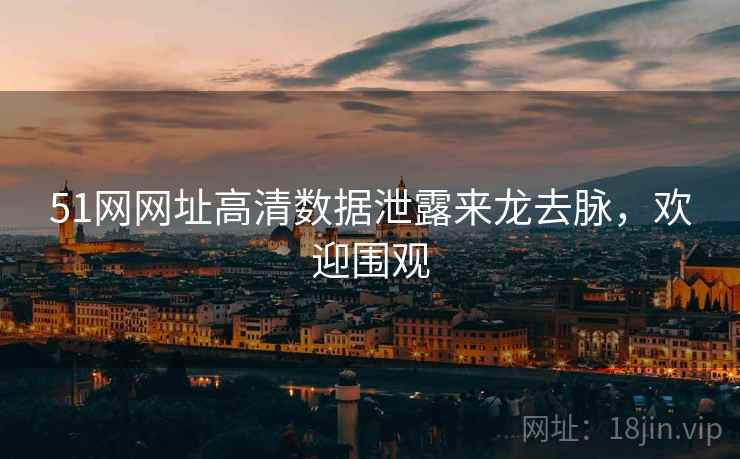 51网网址高清数据泄露来龙去脉，欢迎围观