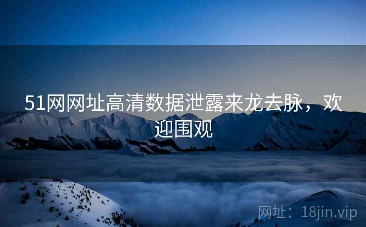 51网网址高清数据泄露来龙去脉，欢迎围观