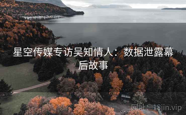 星空传媒专访吴知情人：数据泄露幕后故事