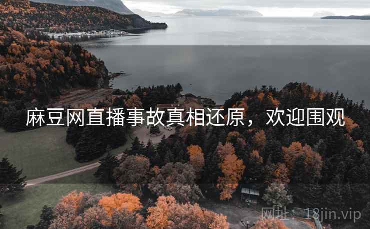 麻豆网直播事故真相还原，欢迎围观
