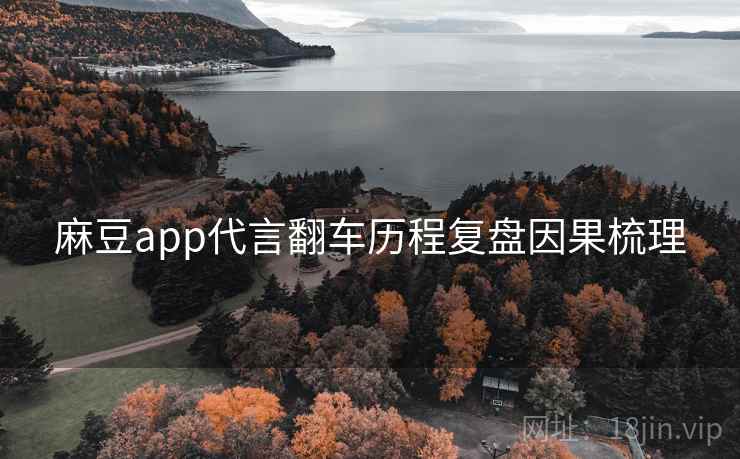 麻豆app代言翻车历程复盘因果梳理